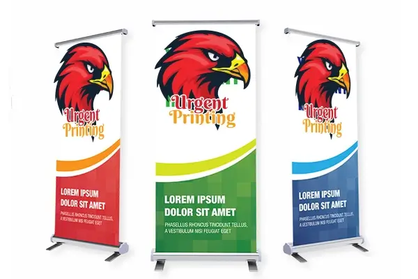 Rollup Printing